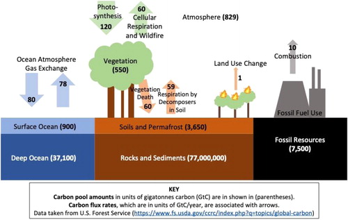 Figure 3. Global carbon cycle model.