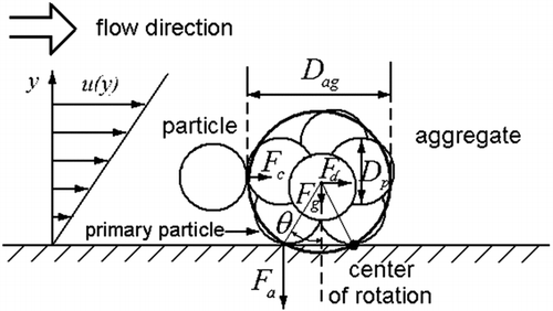 Forces acting on a small aggregate in a viscous sublayer (Theerachaisupakjj et al. 2003).