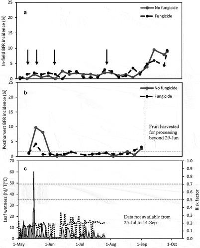 Figure 3. (a) In-field botrytis fruit rot (BFR) incidence and (b) Postharvest BFR incidence for weekly evaluations at field 11 in 2021. The vertical arrows (↓) indicate the date on which fungicides were applied (see Table 4). The horizontal dashed line indicates 2% incidence. Processing fruit production started on 14-sep. (c) Leaf wetness duration (vertical bars) in continuous hours per day, average temperature during leaf wetness period (dashed line) and BFR risk factor (solid line). The two horizontal dashed lines indicate risk factors of 0.5 and 0.7, respectively. Due of technical issues, leaf wetness duration and risk factor data were not available from 25-jul to 14-sep.