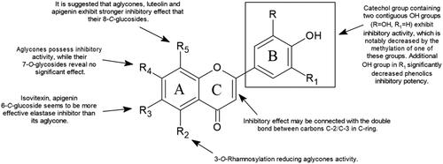 Figure 3. Chemical groups responsible for flavonoid activity (SAR).