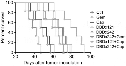 Figure 5. Effects of DBDx and its combinations on the survival time of tumor-bearing mice. DBDx and its combinations prolonged the survival time of mice significantly.