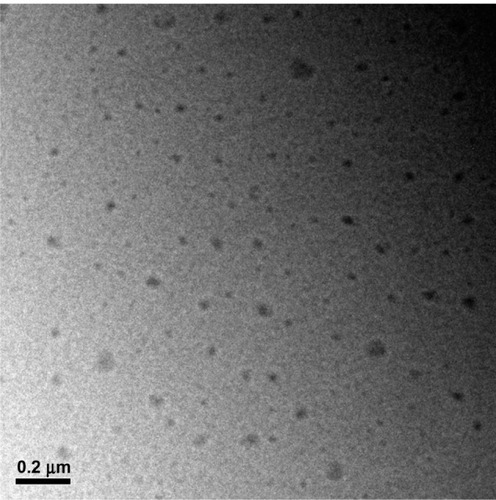 Figure 4 Transmission electron microscopic images of nanoparticles. Bar, 200 nm.