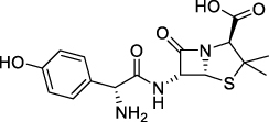 Figure 3 β-lactam structure of amoxicillin.Citation41