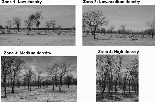 Figure 3: Mopane woodland zones