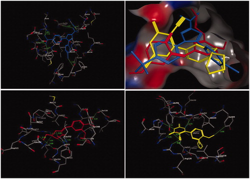 Figure 2. Three-dimensional (3D) orientation of the docked ligand SC-558 (upper left panel); docked compounds 4b (lower left panel), and 13 (lower right panel) in the active pocket of the COX-2 enzyme (H bond interactions are shown as green lines). Upper right panel showed the alignment of SC-558, 4b, and 13 in the active pocket of the COX-2 enzyme.