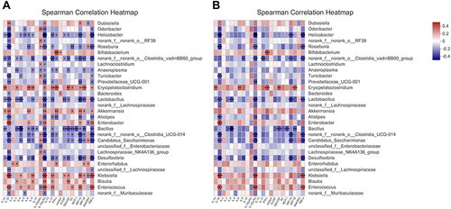Figure 6 Correlations microbiome compositions (at the top 30 genus level) and the 23 serum cytokine levels of host immune markers on 0W, 1W and 4W. (A) Significance thresholds included absolute correlation coefficients higher than 0.1 and P < 0.05. (B) Significance thresholds included absolute correlation coefficients higher than 0.3 and P < 0.05. The number in color present Spearman correlation coefficient: red color indicates positive correlation; blue color indicates negative correlation. *P < 0.05, **P < 0.01, ***P < 0.001.