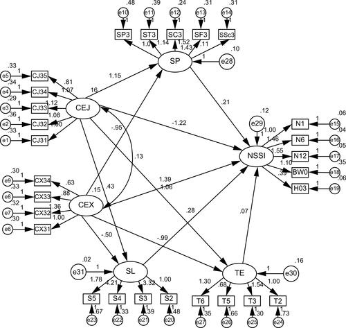 Figure 1 Structure path diagram.