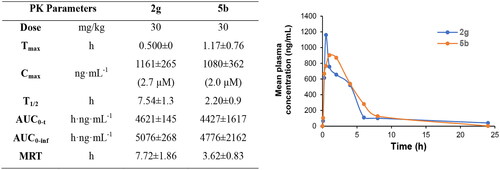 Figure 4. Oral PK study of compounds 2g and 5 b after oral administration to rats (n = 3) at dose of 30 mg/kg.