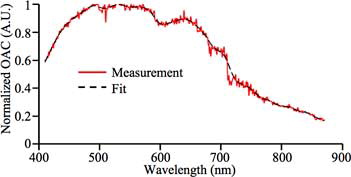 Figure 8. Measured normalized OAC spectrum of iris in porcine eye sample.