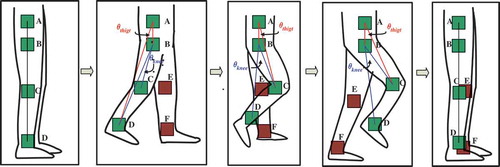 FIGURE 7 Illustration of relative position variation of LED tags as the trainee moves forward.