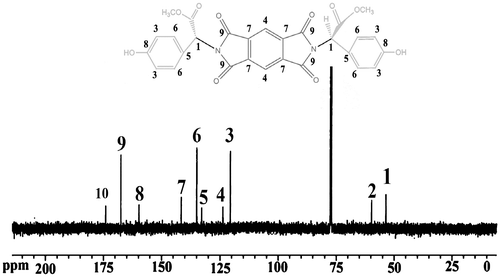 Figure 4. 13C-NMR (125 MHz) spectrum of diol5 in DMSO-d6 at RT.