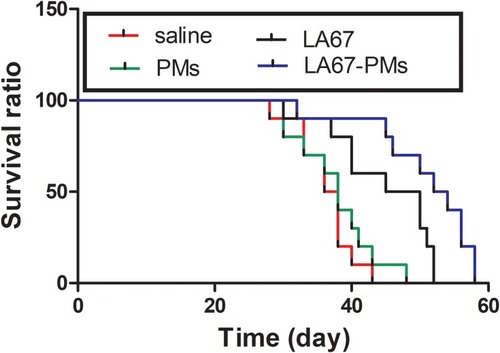Figure 11 Survival curves of C26 tumor-bearing mice. (n=10).Notes: P<0.01, LA67 vs saline; P<0.001, LA67-PMs vs saline; P<0.05, LA67-PMs vs LA67.Abbreviations: PMs, polymeric micelles; LA67-PMs, LA67-loaded polymeric micelles.