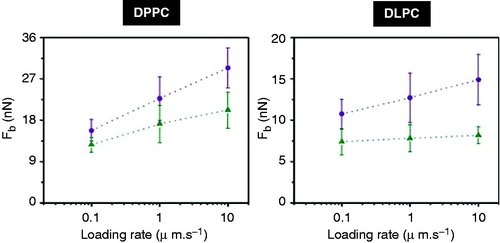 Figure 6. Dependence of the Fb on loading rate for (Left) DPPC and (Right) DLPC in the presence of two different cations, K+ (violet circles) and Na+ (green triangles).