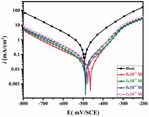 Figure 1. Polarization curves of carbon steel in the aggressive solution in the absence and presence of different concentrations of CPHQ at 303 K.