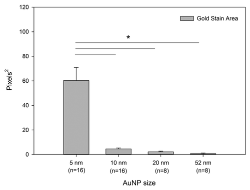 Figure 2. Size dependent permeation of the synovial membrane assessed by histomorphometry. Bars represent the average surface area of the gold specific tissue stain (pixelCitation2) for each size of gold nanoparticle (AuNP) used (5, 10, 20 and 52 nm). Significance was reached for all comparisons with 5 nm AuNPs (p < 0.001). Error bars represent the standard error for the mean.