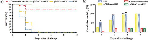 Figure 7. Protection efficiency against a C. perfringens natural α-toxin challenge in mice orally immunized with recombinant pPG-α/L. casei 393.