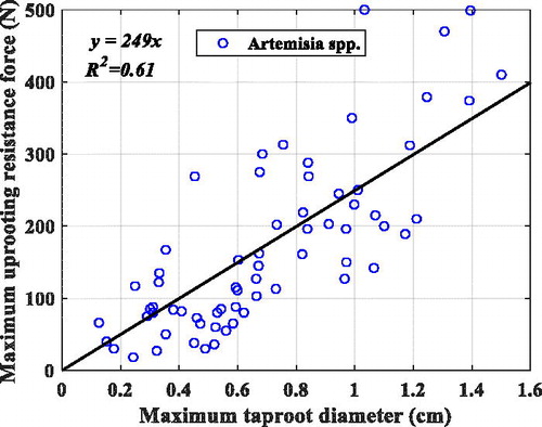 Figure 11. Statistics of Artemisia spp. root diameter.