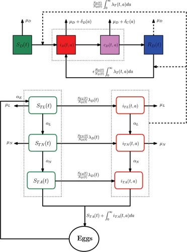 Figure 1. Flow chart of the model.