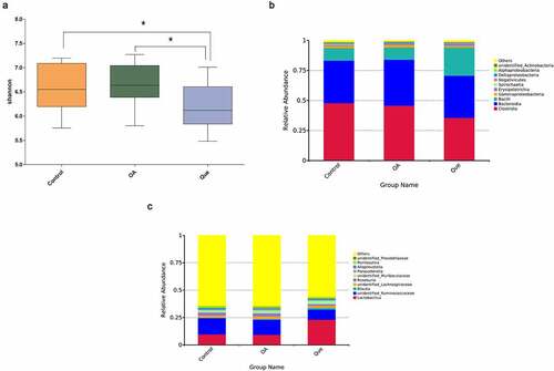 Figure 1. Intestinal microbial changes after quercetin treatment in OA rats. (a) Alpha diversity was evaluated using the Shannon index. Average relative abundances of dominant bacterial classes (b) and genera (c) in the intestine under quercetin treatment