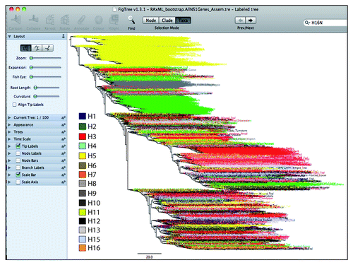Figure 5. An overview of the tree annotated in FigTree. The clustering pattern of different subtypes of influenza viruses is highlighted with different colors. The subtypes such as H3, H5 and H6 made a bigger cluster owing to same genetic nature. All other subtypes had shown diffused pattern within the tree. For clarification purposes, only a tree of the avian influenza NS1 gene is displayed.