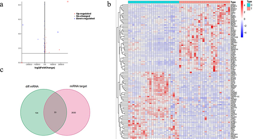 Figure 4 Differentially expressed mRNAs in AML patients. (a) Volcano plots of differentially expressed mRNAs, the blue and red dots represent down- and up-expressed miRNAs. (b) Heatmap for differentially expressed miRNAs. Type: (C) healthy controls. (T) AML patients. (c) Venn graph showing the 33 overlapped genes by intersecting the miRNA targeted genes and mRNA targets from AML patients.