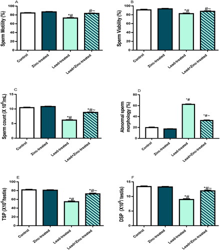 Figure 1. The effects of zinc on sperm motility (A), viability (B), count (C), daily sperm production, DSP (D), total sperm production, TSP (E) in lead-treated male Wistar rats. Values are mean ± SEM of 5 replicates. Data were analyzed by one-way ANOVA followed by Tukey’s post hoc test. *P < 0.05 vs. control, #P < 0.05 vs. zinc-treated, ∼P < 0.05 vs. lead-treated.