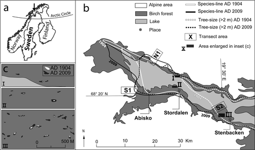 Figure 1 (a) Study area in subarctic Sweden (b, c) showing aspen dynamics since 1904. The figure is based on the studies by CitationSylvén (1904) and CitationFries (1913) and dendrochronological analysis. Figure 1b shows the change in position of the western boundary of the species and tree-sized (>2 m) aspen over the period 1904–2009, whereas Figure 1c illustrates the process of infilling and expansion of established stands in the study area for the same period. Note that the distribution lines over the lake are simply to connect the distribution of aspen on the north and south sides of the lake.