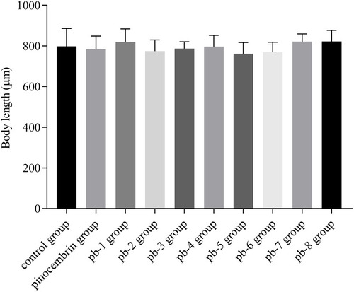 Figure 5 Effect of pinocembrin amino acid derivatives on body length in wild-type C. elegans.