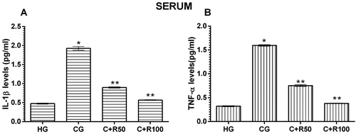 Figure 5. Levels of IL-1β (A) and TNF-α (B) levels in blood serum.* p < 0.0001 vs. HG group, ** p < 0.0001 vs. CG group.