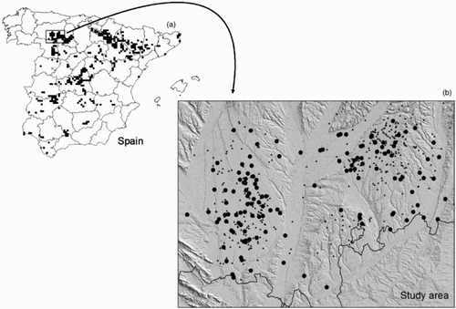 Figure 1. Study area and census results. (a) Distribution of the Marsh Harrier Circus aeruginosus in Spain in a Universal Transverse Mercator grid of 10 km, in 2006 (Molina & Martínez Citation2008). (b) Wetlands visited (triangles) and occupied (circles) by one or more pairs of Marsh Harrier in this study.