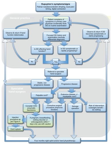 Figure 5 Flowchart for managing patients with Dupuytren disease (DD) from initial presentation to treatment, demonstrating the role of Clostridium histolyticum collagenase (CHC) injection within the treatment algorithm of DD.