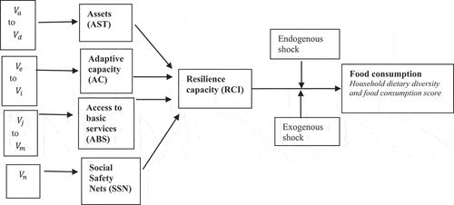 Figure 1. Conceptual framework analysing association between resilience and food consumption using the Resilience Index Measurement and Analysis approach (Ado et al., Citation2019; Lascano Galarza, Citation2020; Otchere & Handa, Citation2022; Upton et al., Citation2022). V refers to variables used to construct the respective capacity.