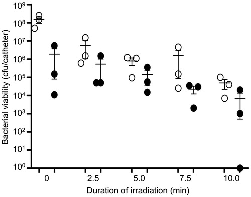 Figure 11. Killing of biofilm-associated S. aureus with AuNC@Cef/PDA-aSpa. Biofilms were allowed to form on catheters before being placed into 500 µl of BFM containing 0.4 nM AuNC@Cef/PDA-aSpa. Control catheters were not irradiated (0 min), while test catheters were irradiated for the indicated period of time. The number of viable bacterial cells was then determined at 0 h (open circles, PT effect) and after an additional 24 h incubation (filled circles, antibiotic effect).