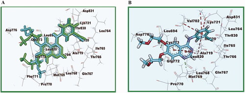 Figure 8. (A) 2D image of the superimposition of the re-docked conformers of erlotinib over the co-crystallized conformers (B) Erlotinib docked into the active site of EGFRWT.