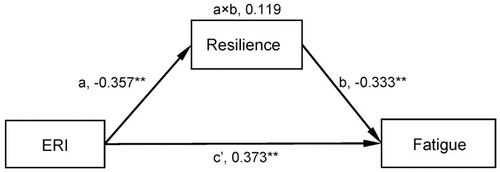 Figure 1 Mediation of resilience in the association between ERI and fatigue.Notes: Age, gender, weekly working time and night shift are adjusted. In order to simplify the model, these control variables are not shown. ERI is logarithmic. All path coefficients are β. **p < 0.001 (two-tailed).Abbreviation: ERI, effort-reward imbalance.
