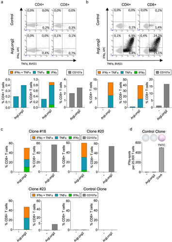 Figure 1. Identification, isolation and expansion of CD8+ Arg1-specific T cell clones. (a) CD4+ and CD8+ Arg1-specific T-cell responses in in vitro cultured HD 117 PBMCs after stimulation with ArgLong2 peptide compared to non-stimulated control. (b) Expanded ArgLong2-specific T-cell culture from HD 117 with CD4+ and CD8+ T cells. (c) Expanded CD8+ ArgLong2-specific T cell clones #18, #20 and #23 and CD8+ control T cell clone. (a-c) the specificity of each culture as assessed by CD107α staining (CD8+ T cells) (right) and intracellular staining (ICS) for IFNγ and TNFα (left). (a-b, top) flow cytometry dot-plots of IFNγ+, TNFα+ and IFNγ+/TNFα+ CD4+ and CD8+ ArgLong2-specific T-cell responses. (a-b, bottom) stacked bar charts of CD107α+, IFNγ+, TNFα+ and IFNγ+/TNFα+ CD4+ and CD8+ ArgLong2-specific T-cell responses or (c) CD8+ ArgLong2-specific T cell clones. (d) Reactivity of CD8+ control T cell clone to ArgLong2 peptide or ConA (pos ctrl) stimulation compared to no stimulation (T cells alone) determined in an IFNγ Elispot assay. Representative Elispot wells of responses against non-stimulated cells, ArgLong2-peptide or ConA stimulated cells. Too numerous to count, > 500 IFNγ spots (TNTC).