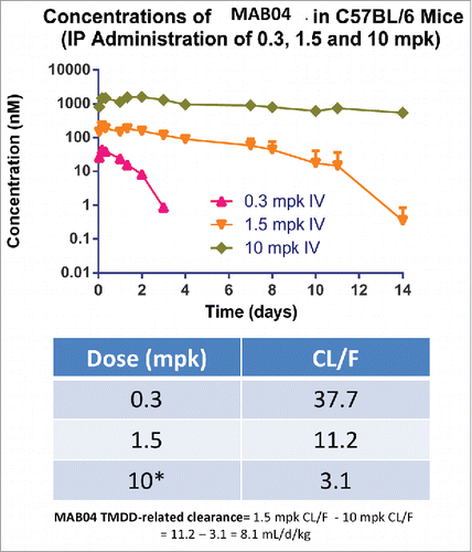 Figure 4. Pharmacokinetics profile of MAB04 in mice following a single intraperitoneal dose of 0.3, 1.5 or 10 mg/kg. MAB04 clearance in mouse was dose-dependent with values for CL/F of 37.7, 11.2 and 3.1 for the 0.3, 1.5 and 10 mg/kg doses, respectively suggestive of TMDD impact on clearance.