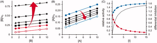 Figure 2. Predicted effect of a competitive DI on the transformation of two substrates catalysed by a multi-specific enzyme. The kinetic behaviour is described by the model reported in Figure 1 with the two substrates displaying the same KM (i.e. KA = KB = 5 concentration units) and the same kcat (100 time−1 units) and is represented by the Hanes–Wolff plot. Panel A: the transformation of substrate B, which is susceptible to inhibition, is analysed. The red open and closed circles refer to substrate B present alone and in the presence of A at a concentration equal to 2KM, respectively. Symbols ▪, ▲, ♦ and ▼refer to red closed circles in the presence of [I] equal to 1, 2, 3, and 5 times the Ki value, respectively. The Ki value is considered as KM/10. Panel B: the transformation of the substrate A, which is insensitive to direct inhibition, is analysed. Blue open and closed circles refer to substrate A alone and in the presence of B at a concentration equal to 2KM, respectively. Symbols ▪, ▲, ♦ and ▼ refer to blue closed circles in the presence of [I] equal to 0.5, 1, 2, and 5 times the Ki value, respectively. The Ki value is considered as KM/10. In Panels A and B, the increase in [I] is emphasised by the red arrows. In Panel C, the B rate transformation (red curve) and A rate transformation (blue curve) are reported as a function of the inhibitor concentration expressed as Ki fold. The substrate concentrations were considered fixed at the 2KM value and the Ki value is considered as KM/10. The dotted line refers to the differential inhibition.