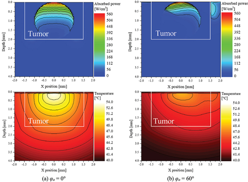 Figure 7. Light absorption and temperature distribution for various φa (Pl=50 mW, fv=10−6).