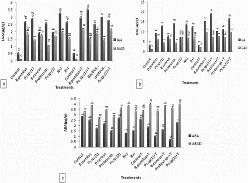 Figure 2. Effect of l-tryptophan and PGPR on phytohormones content (a) IAA, (b) GA and (c) ABA of maize leaf under drought-stressed conditions. All such means which share a common English letter are similar, otherwise they differ significantly (p = .05). Detail of treatments as in Figure 1.