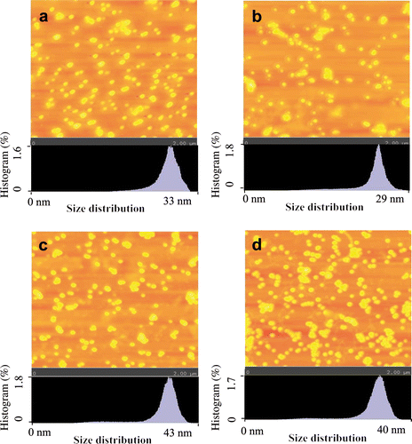 Figure 3. (Colour online) Tapping mode AFM images of GNP synthesised with (a) LE; (b)LWF; (c) SE; and (d) SWFs of S. cumini. Note: For imaging, AFM was set at 2 × 2 µm2 scale. Size distribution of synthesised GNP is shown at the bottom of each image.