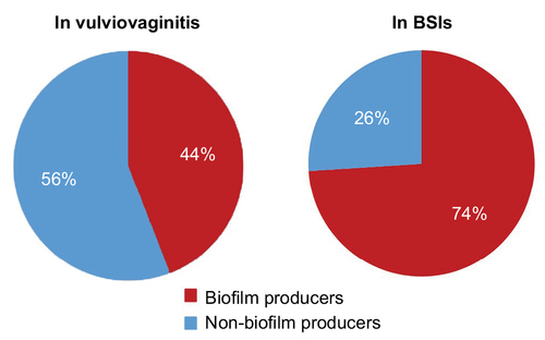Figure 1 Biofilm formation by Candida species in BSIs and vaginal candidiasis.