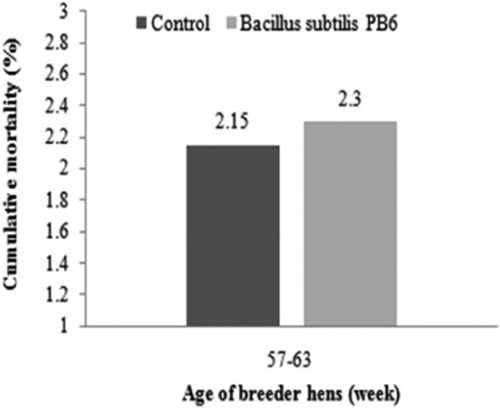 Figure 4. Effect of Bacillus subtilis PB6 supplementation on total mortality of broiler breeder hens.