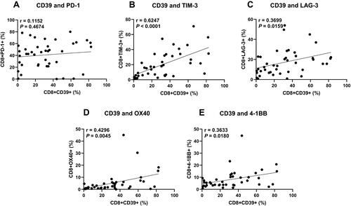 Figure 7 The relationship between CD39 expression and other immune checkpoints expression of CD8+ T Cells in BLCA patients. (A) PD-1, (B) TIM-3, (C) LAG-3, (D) OX40, (E) 4–1BB.