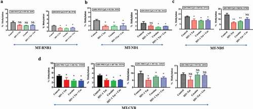 Figure 8. Impacts of HIV-1 Tat and cocaine on mtDNA methylation, as analysed by TNGBS. The mtDNA methylation profiles were determined by mitochondrial genome bisulphite sequencing to compare the levels of methylation among primary astrocytes treated with HIV-1 Tat/cocaine. The levels of methylation (% methylation) at CpG sites across the A) RNR1 gene B) ND1 gene C) ND5 gene D) CYB genes are shown. All of the values are expressed as the mean±SD of each group. The data represent 3 independent experiments. **P < 0.01, *P < 0.05, NS – Nonsignificant