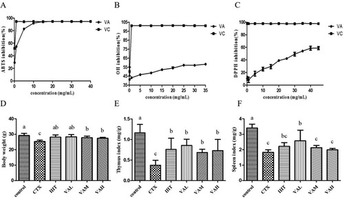 Figure 1. The effects of antioxidant concentration on the inhibition of the ABTS (A), OH (B), and DPPH (C) in VA (VA) and the effect of VA on body weight (D), thymus index (E), spleen indices (F) in immunosuppressed mice.