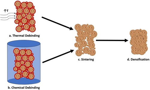 Figure 12. The stages of post-processing to remove binder and densify ceramics and metals including debinding (a. thermal and b. chemical), c. sintering and d. densification.