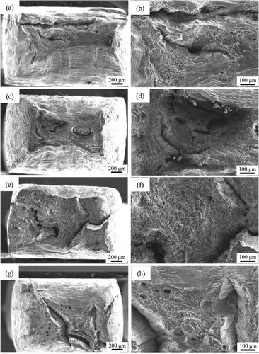 Figure 16. SEM images of the fracture surfaces of the tensile test specimens cut from the samples: (a) and (b) 9:1, (c) and (d) 25:1, (e) and (f) 9-T6, (g) and (h) 25-T6.