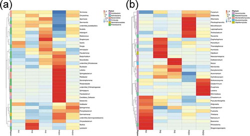 Figure 6. Heatmap analysis of the top 35 most abundant genera in five different treatments. FH1, FH2, FH3, FHCK1, and FHCK2 represent the rhizosphere soil from the one-year cultured, two-year consecutively monocultured, three-year consecutively monocultured, control with no Atractylodes lancea cultivation, and one year after the harvest of the rhizosphere soil plots, respectively. a – Bacteria; b – Fungi