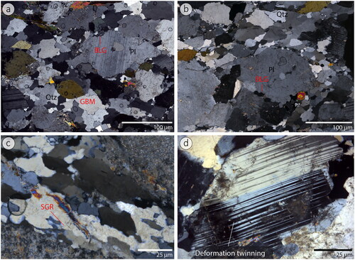 Figure 9. Cross-polarised light photomicrographs from the Craigie Tonalite, depicting the main textures identified in quartz (Qtz) and plagioclase (Pl). (a, b) Lobate contacts and recrystallised grains along plagioclase boundaries suggest incipient recrystallisation by bulging (BLG). The strain-free character of polycrystalline quartz with irregular grain boundaries suggests recrystallisation by grain boundary migration (GBM). (c) Subgrains and recrystallised grains at the edge of a quartz relict suggest subgrain rotation (SGR) as a recrystallisation mechanism. Note the transitional character between newly formed grains and subgrains, typical of SGR. (d) Plagioclase deformation twinning (flame-shape twinning).